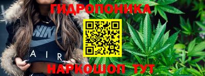 прущие грибы Пыть-Ях
