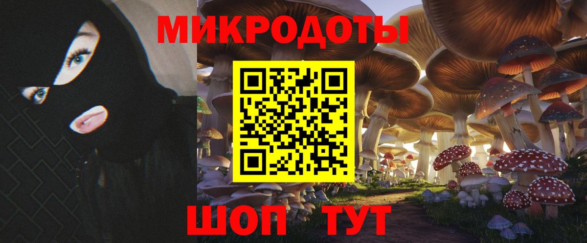 Псилоцибиновые грибы прущие грибы Северск